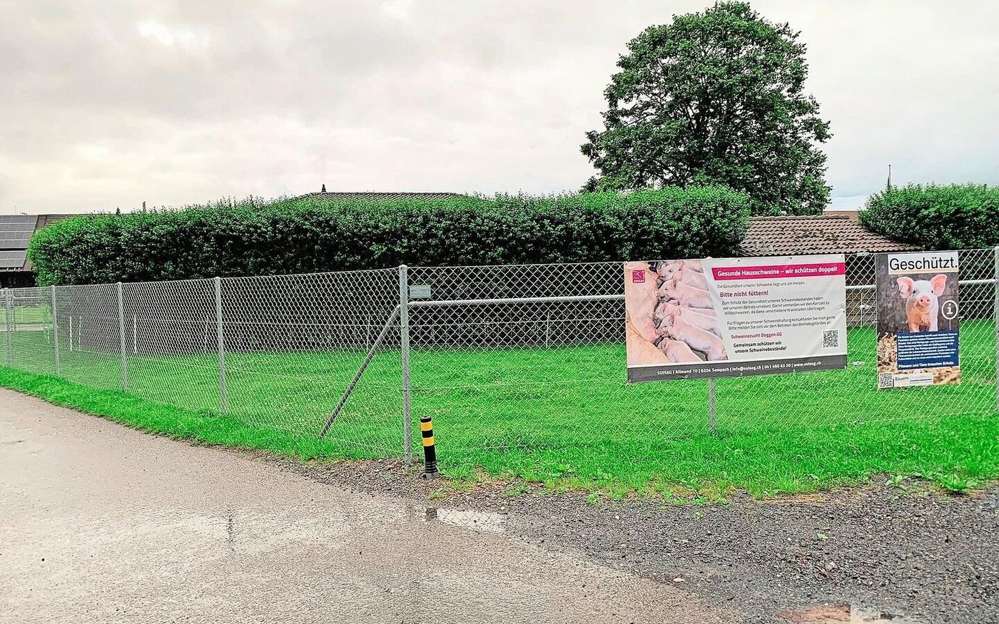 Um eine Einschleppung des ASP-Virus in den Schweinebestand zu vermeiden, gilt es, das Betriebsgelände zu umzäunen.  