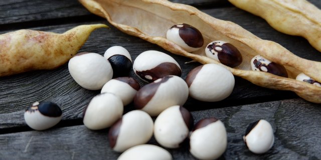 Wer ernten will, muss bekanntlich zuerst säen. (Bild Pixabay)