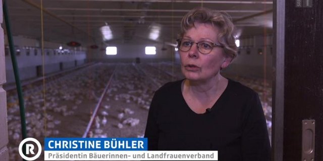 Präsidentin des Schweizerischen Bäuerinnen- und Landfrauenverbands (SBLV) Christine Bühler fordert eine bessere soziale Absicherung der Bäuerinne. (Bild Screenshot SRF)