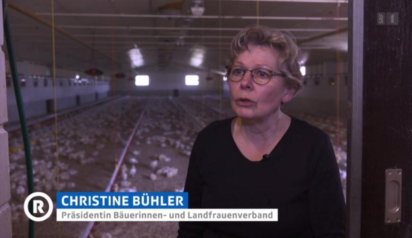 Präsidentin des Schweizerischen Bäuerinnen- und Landfrauenverbands (SBLV) Christine Bühler fordert eine bessere soziale Absicherung der Bäuerinne. (Bild Screenshot SRF)