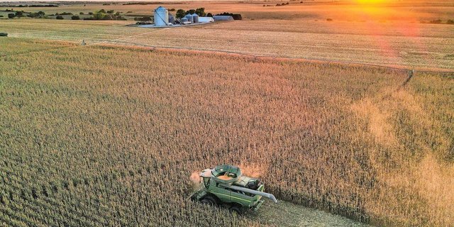In der Schweiz sieht die Landwirtschaft ganz anders aus als in Amerika. Das macht es schwieriger, die Regenerative Landwirtschaft als neuen Produktionsstandard zu positionieren.