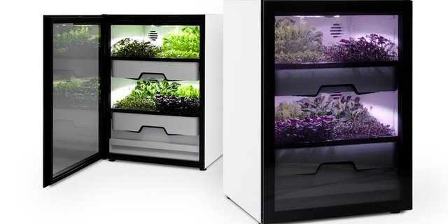 Vielleicht stehen in unseren Haushalten schon bald solche Vertical-Farming Kästen. (Bild Agrilution Plantcube, zVg)