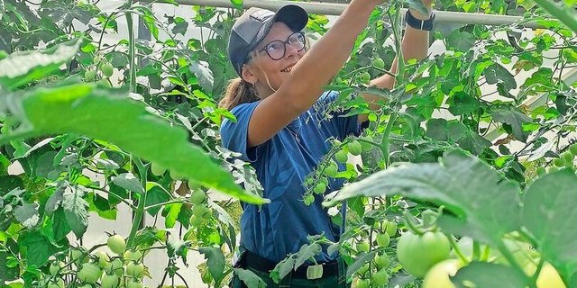 Solène Luder (21) hat jetzt gefunden, was sie suchte: Eine sinnvolle Arbeit, im Kontakt mit der Natur. Auf die Idee, eine Lehre als Gemüsegärtnerin anzutreten, ist sie zufällig gekommen.