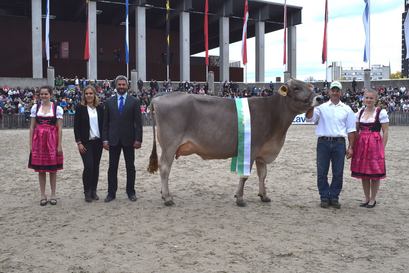 Für Silvana, Miss Olma beim Braunvieh 2019, wird an der Vier-Rasse-Eliteschau eine Nachfolgerin gesucht. (Bild Stefanie Giger)
