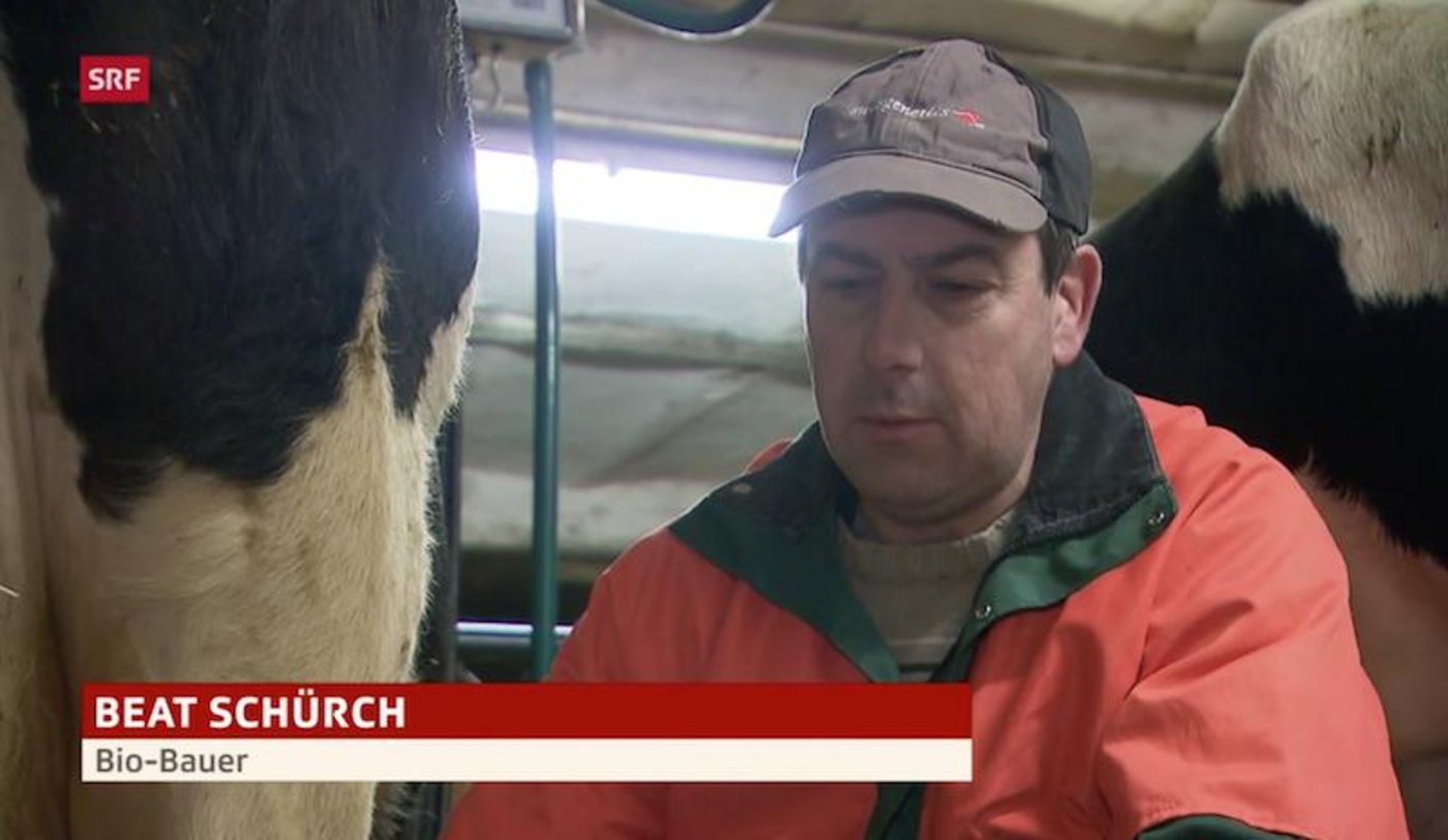 Beat und Gabi Schürch stellen auf Bio um. (Screenshot SRF)