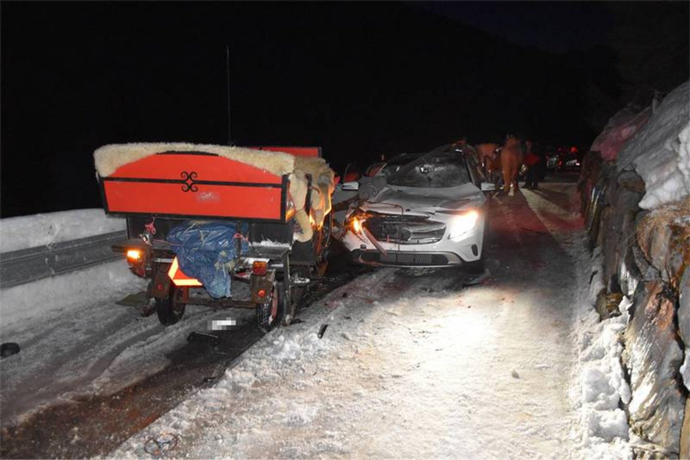 Der führerlose Ausritt führte dazu, dass sich eine Frau und die Pferde leicht verletzten. (Bild Kapo GR)