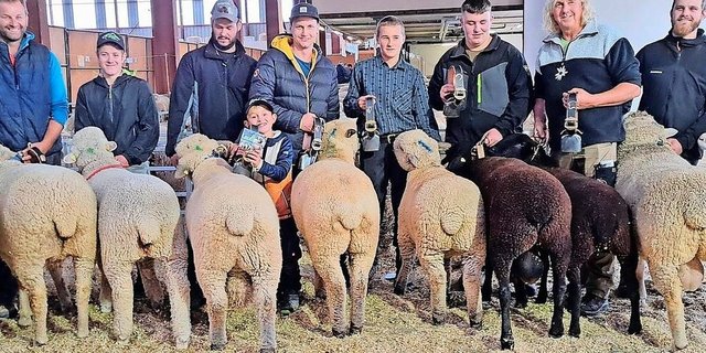 Die herrlichen Missen und Mister der Rassen Weisses Alpenschaf, Braunköpfiges Fleischschaf, Schwarzbraunes Bergschaf und Ile-de-France-Schaf in Reih und Glied.