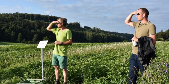 Die Aussichten für krankheitsresistente und stabile Kartoffelsorten stehen gut. Hier im Feld von Christoph Hauert in Bibern SO. (Bild sjh)