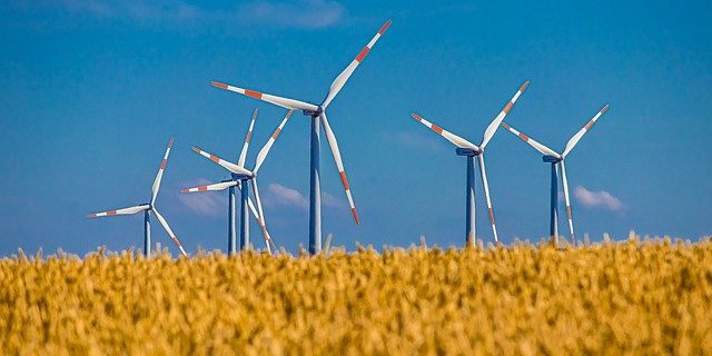 Der WWF sagt Ja zum CO2-Gesetz. (Bild Pixabay)