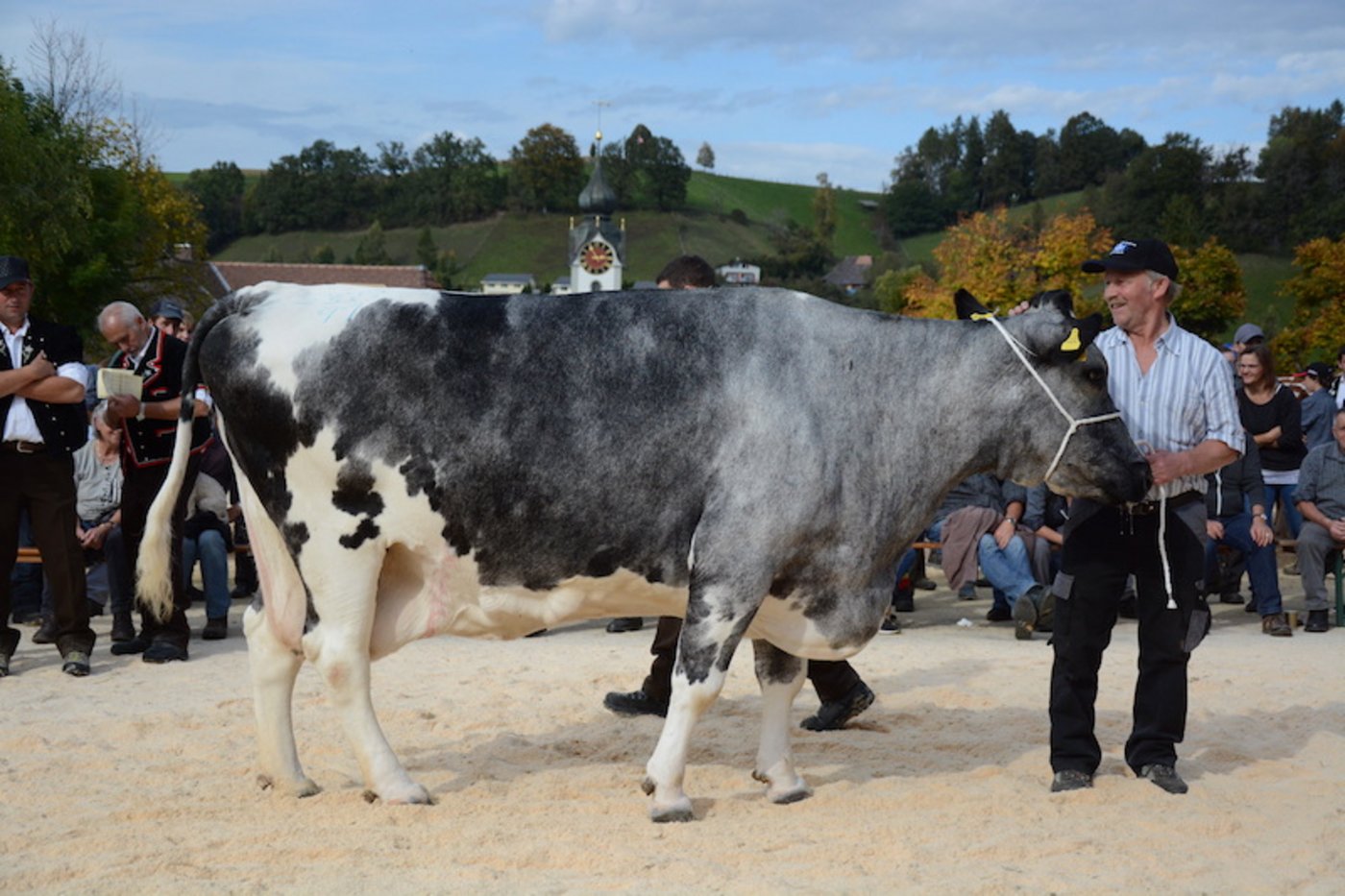 An der Jubiläumsschau in Huttwil BE erhielt die 20-jährige Kuh Aline eine Glocke. (Bild Simone Barth)