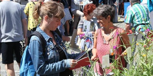 So sah es am Bio Marché im 2018 aus. (Bild Facebook Bio Marché)