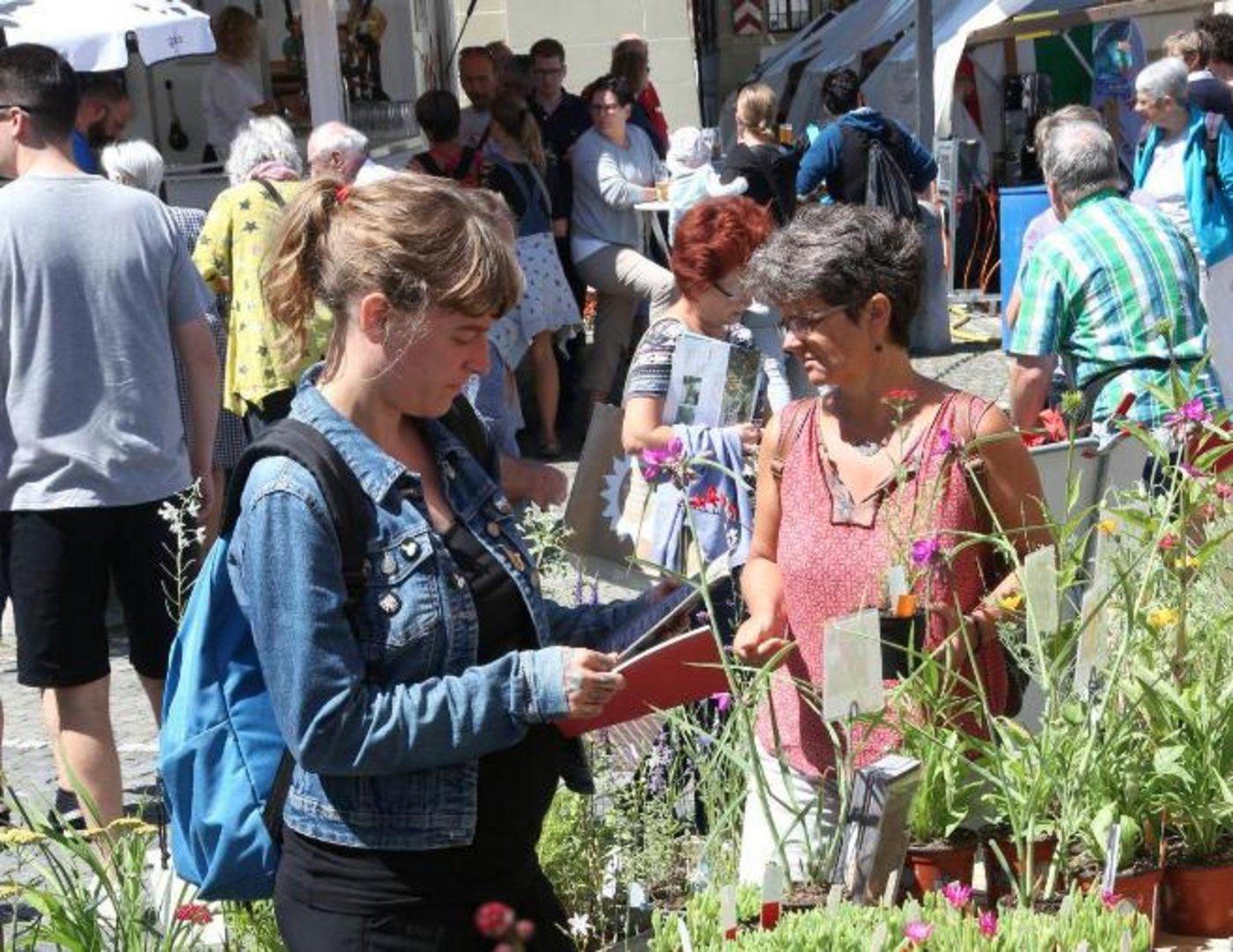 So sah es am Bio Marché im 2018 aus. (Bild Facebook Bio Marché)