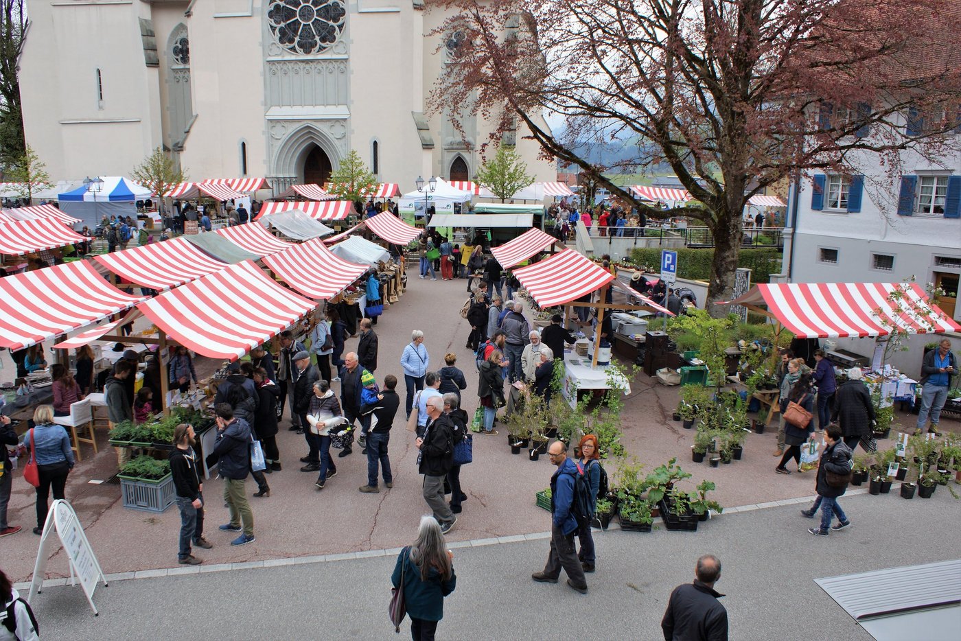 Der Markt steht unter dem Patronat von «Das Beste der Region», ein Verein der sich dafür einsetzt, dass regionalen Produkten und dem Handwerk zu ihrer Herstellung wieder grössere Bedeutung zukommt. (Bild Verein Kräutergarten Escholzmatt)