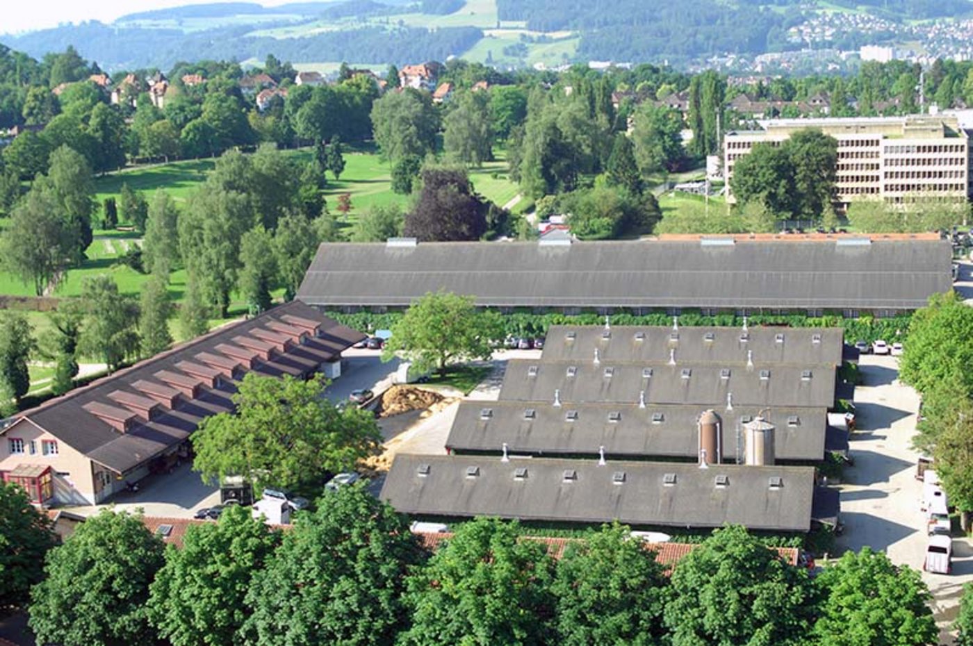 Im NPZ hat es nicht nur viel Platz für Pferde, sondern auch für Insekten und Vögel. (Bild NPZ)