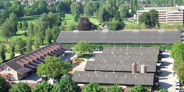 Im NPZ hat es nicht nur viel Platz für Pferde, sondern auch für Insekten und Vögel. (Bild NPZ)