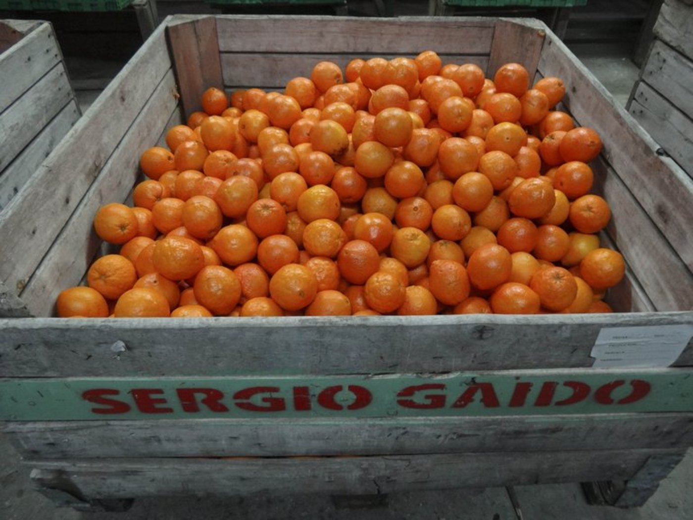 Orangen und Orangensaft-Importe aus Mercosur sollen auf ein Mininum beschränkt werden, fordern Copa-Cogeca. (Bild lid/mr)