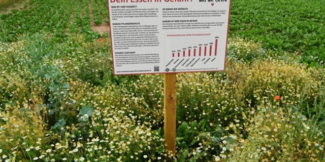 Eine Nullparzelle mit Tafel als abschreckendes Beispiel für Pflanzenschutz-Verzicht: Das goutierten die Biobauern nicht. (Bild zVg)