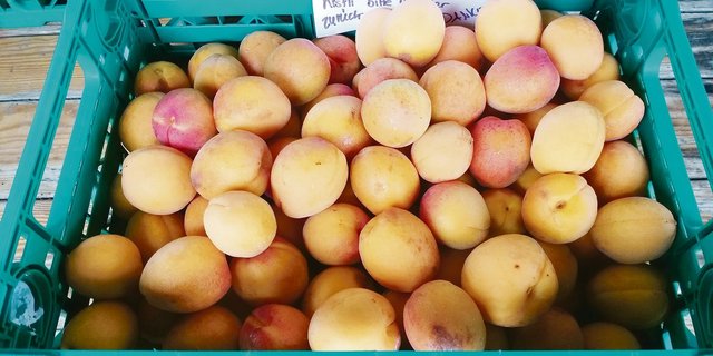 In Güttingen konnten letztes Jahr 1,3 Tonnen Aprikosen geerntet werden.