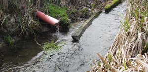 Dass die meisten Schweizer Landwirtschaftsböden lehmig sind, begünstigt PSM-Verluste durch Drainagen. (Bild Agroscope)