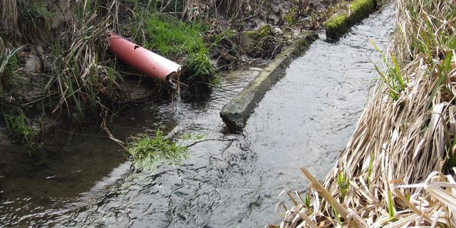 Dass die meisten Schweizer Landwirtschaftsböden lehmig sind, begünstigt PSM-Verluste durch Drainagen. (Bild Agroscope)