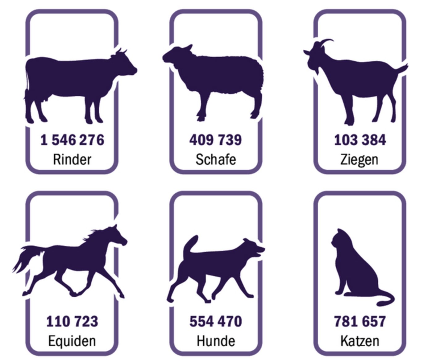 Bei der Identitas AG ist eine beachtliche Anzahl lebender Tier registriert. Die Anzahl in der Grafik ist per 31. Dezember 2024.