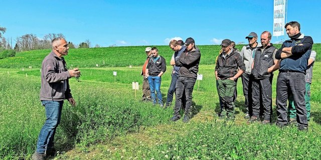 Warum hat es so viel Hirtentäschel? Hanspeter Hug (links) vom Strickhof besprach an seinem Posten die Problematik dieses Unkrauts. Als klassischer Lückenfüller habe das Unkraut von den schwierigen Bedingungen im letzten Jahr profitiert. Bei starkem Befall lohne es sich, den Schnitt abzuführen und zu kompostieren.