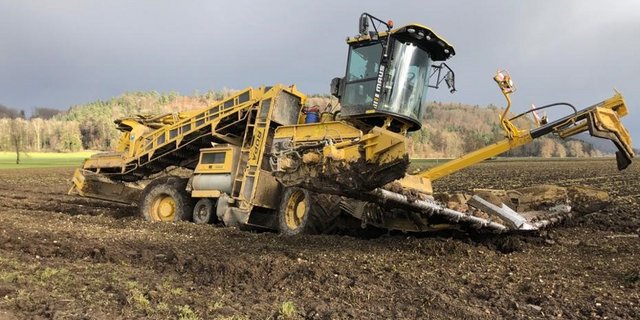 Eine schwierige Kampagne mit prekären Verladebedingungen und Verzögerungen, verursacht durch Probleme in der Zuckerfabrik Aarberg, ist zu Ende. Die Probleme beim Rübenring halten jedoch an. (Bild zVg) 