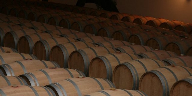 Heuer landet in der EU weniger Wein in den Fässern. Die Ernte ist klein, aber wenigstens ist die Qualität gut. (Symbolbild pd)