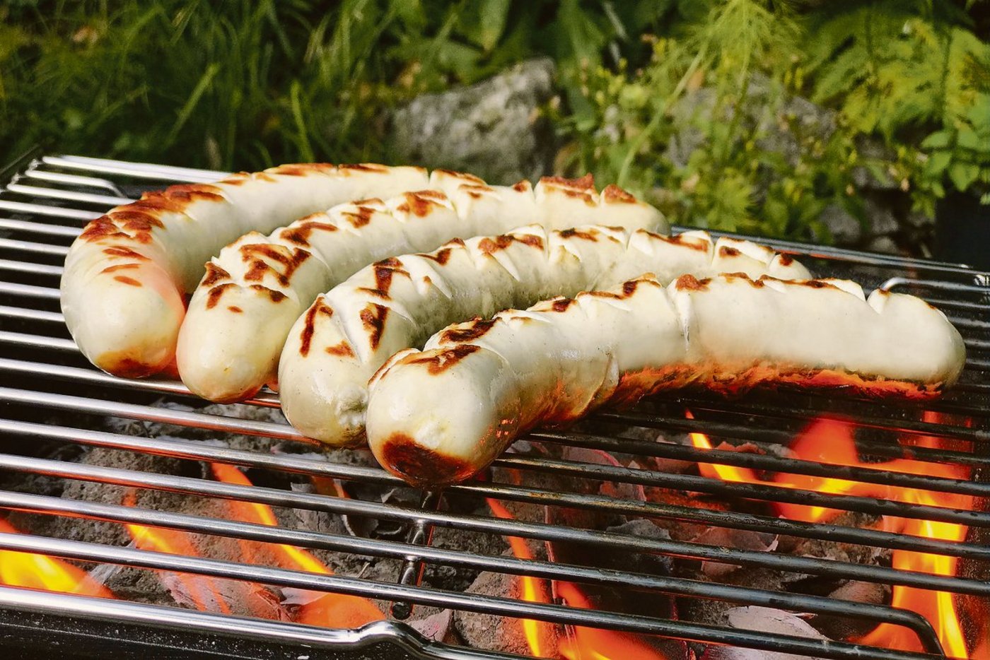 Die Egli-Bratwurst, hergestellt aus Schweizer Zucht-Egli, ist auf dem Grill optisch von einer Kalbsbratwurst  nicht zu unterscheiden. (Bilder zVg / La Perche Loë)