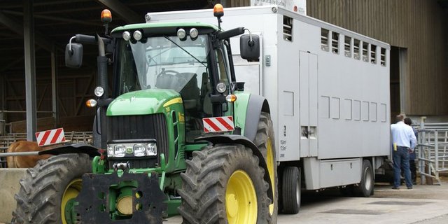 Falsche oder unvollständige Angaben würden die Ausrottung von BVD verhindern, so der Veterinärsdienst Schweiz. (Bild lid)