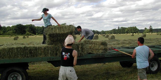 Die Arbeit ist vom Wetter abhängig, aber die Freiwilligen sollten grundsätzlich in guter physischen Verfassung sein und passende Kleidung tragen. (Bild pixabay)
