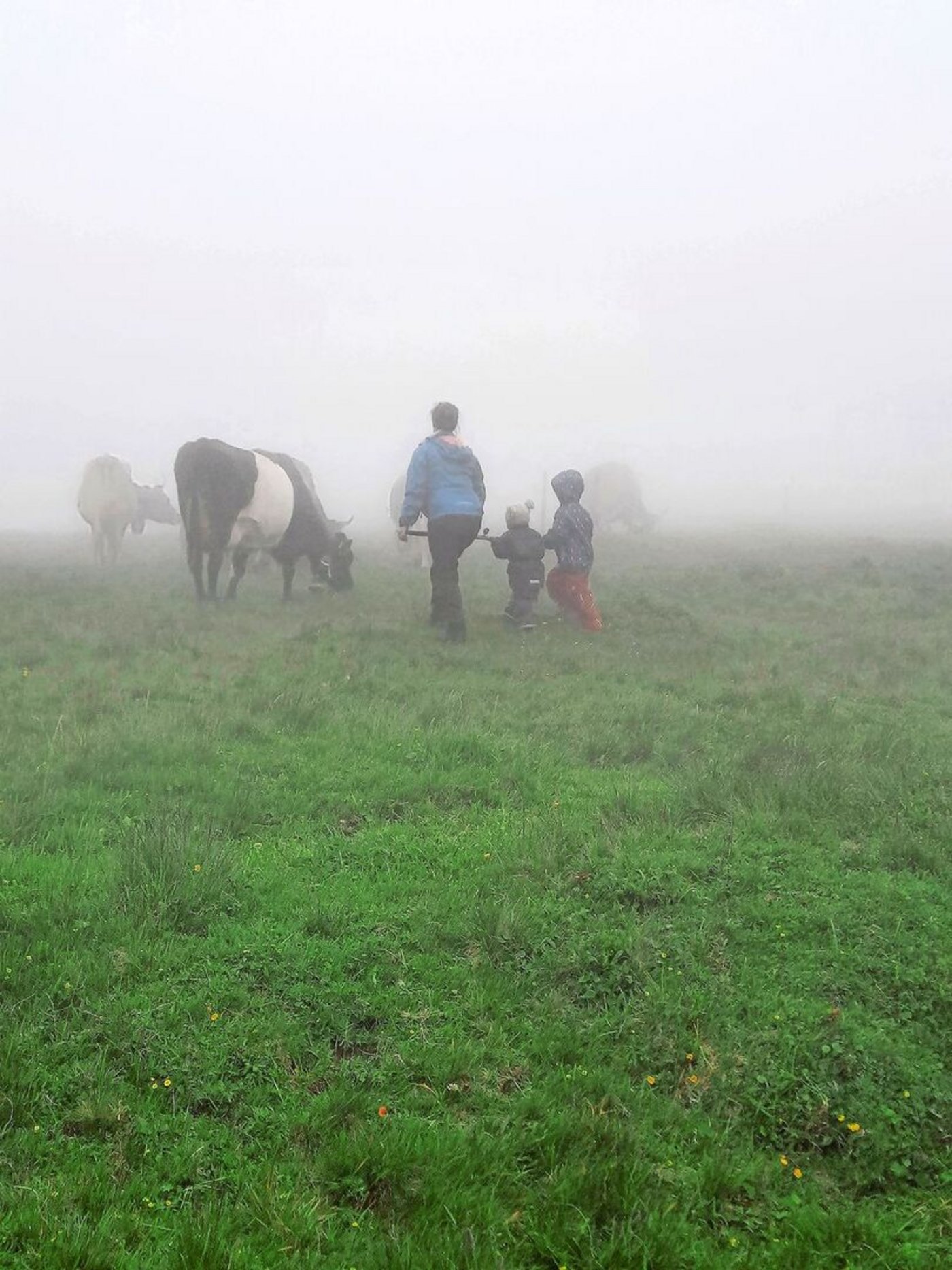 Die Kinder bleiben ganz in der Nähe von Küherin Karin, damit wir sie nicht im Nebel verlieren.