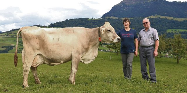 Bereits sieben 100 000er-Kühe standen auf dem Hof Barbrämen von Amara und Xaver Dober, eine davon ist die bekannte Stierenmutter Glenn Gladiola.