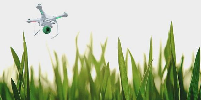 Mit Drohnen Hundekot aufnehmen und ihn einsammeln? Daran arbeitet das niederländische Start-up Belevar BV.(Bild tinki.de)