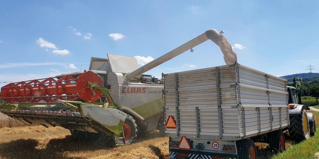 Kaufen Landwirte zusammen zum Beispiel einen Mähdrescher, ist die Auslastung besser und die Maschinenkosten sinken. Doch die Besitzer haften auch gemeinsam, wenn die Maschine kaputt geht. Ruth Aerni/BauernZeitung