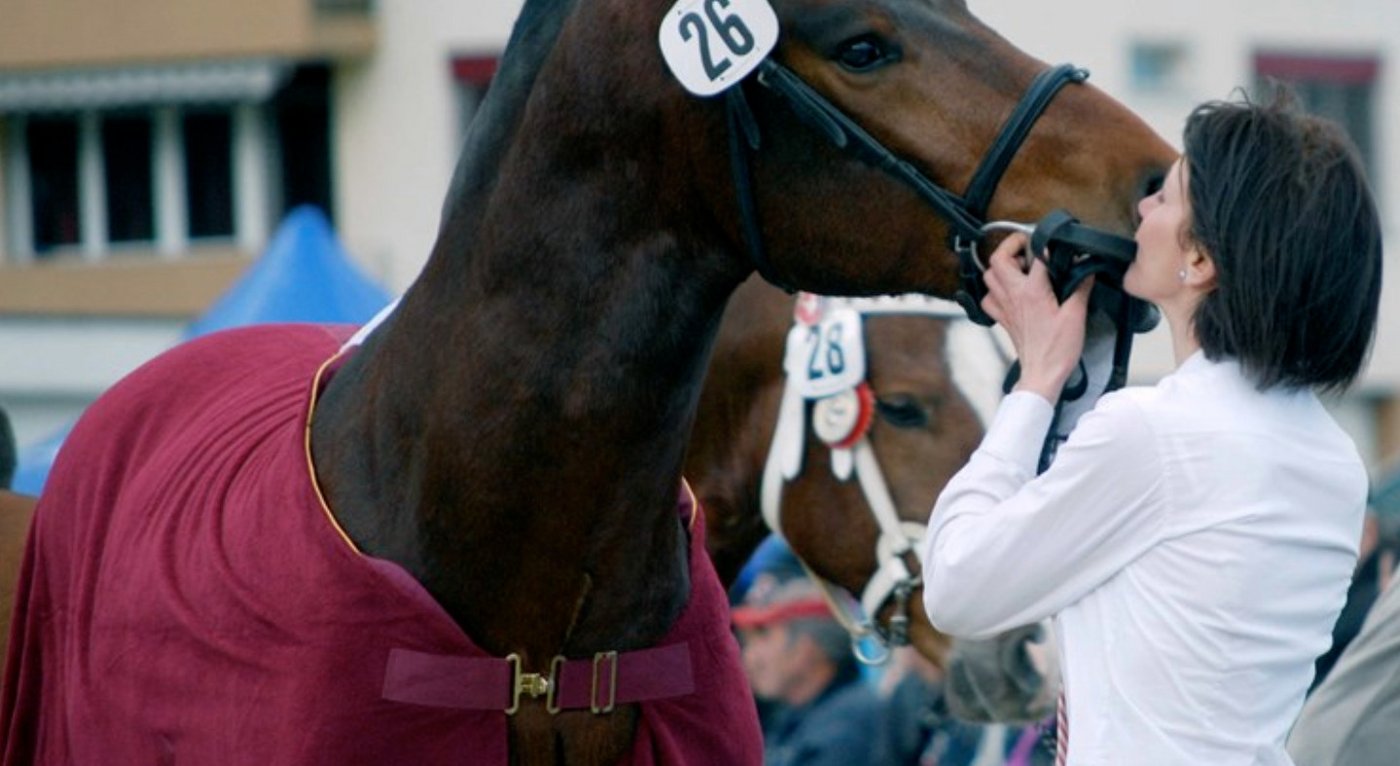 Die Züchter des Freibergerverbands wenden sich von ihrer Vizepräsidentin Chantal Pape-Juillard ab. (Bild BauZ Archiv)