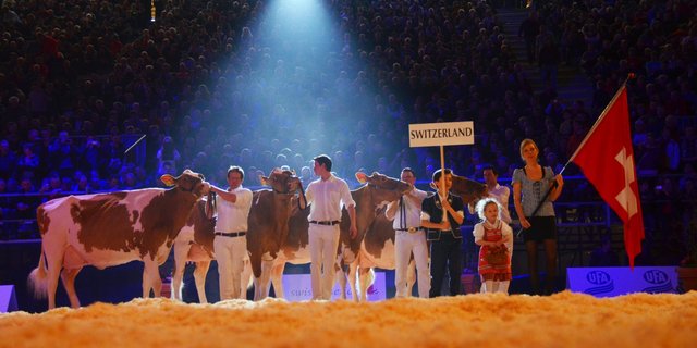 Mit dem Swisscow-Cup findet im Rahmen des Swissherdbook-Jubiläums ein ganz spezieller Viehzuchtwettbewerb statt. (Symbolbild Swissherdbook)