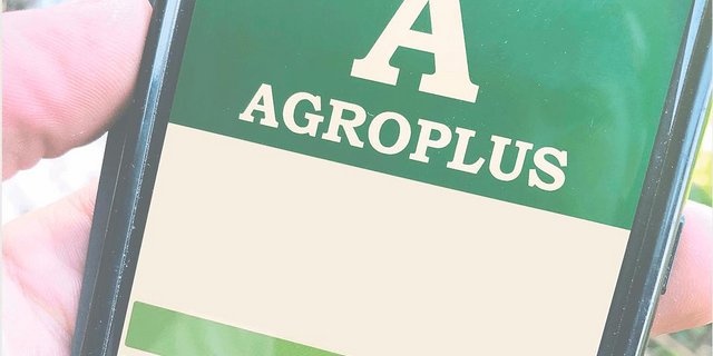 Verschiedene digitale Anwendungen bieten Unterstützung beim Management des Betriebs, des Feldbaus oder der Tierhaltung. Im Bild die App von Agroplus. (Bild Benno Jungo)