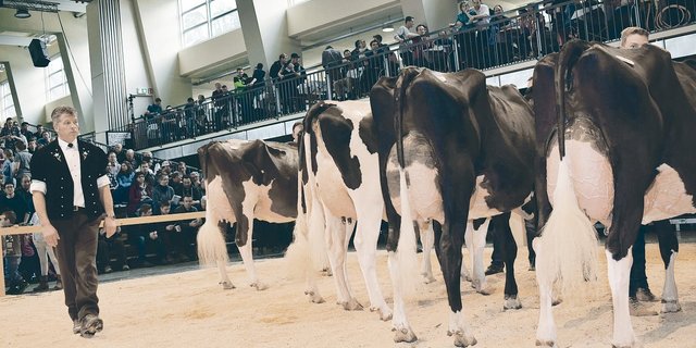 So ein Bild wird es von der nächsten Starparade bestimmt nicht geben. (Bild Archiv BauZ)