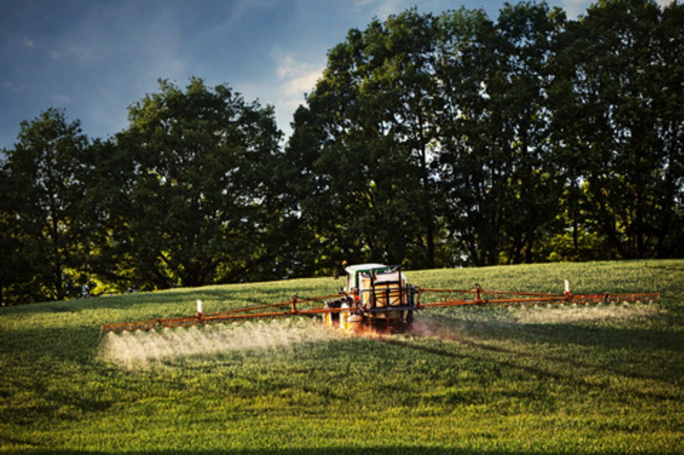Vekaufszahlen sind keine Verbrauchszahlen, betont Greenpeace. Zu Letzterem fehlten in der Schweiz die Statistiken. (Bild BauZ)