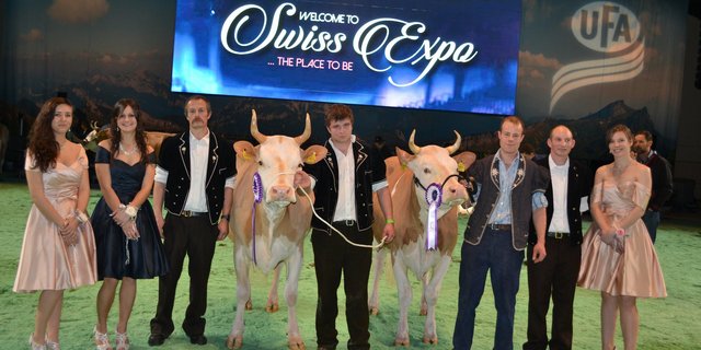 Champion (links): Roman Ariel, Thomas und Reto Gerber, Süderen  und Reserve Champion: Adi Fantaisie, Menoud et Fils Antoine, Sâles