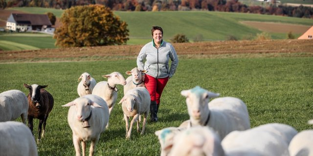 Landwirtin Nathalie Genoud bei den Jungschafen. Sie ist voll und ganz zufrieden mit ihrem neuen Betriebszweig. Bild: Pia Neuenschwander