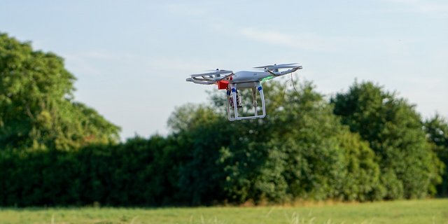 Wildschweine richten auf Kulturland erhebliche Schäden an. (Bild ji)