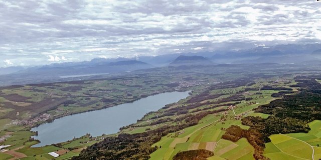 Das «Schweinevalley» um den Baldeggersee im Kanton Luzern. Die Tierhaltung und Güllewirtschaft steht wieder einmal in der Kritik von Medien. 