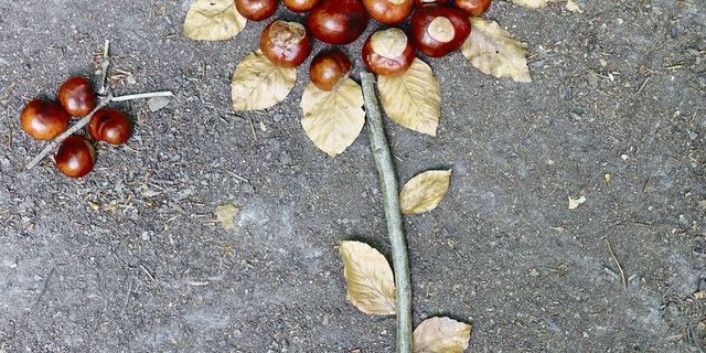 Hingucker auf dem Asphalt: vergängliches Kunstwerk aus Kastanien, Herbstblättern und einem Zweig. 