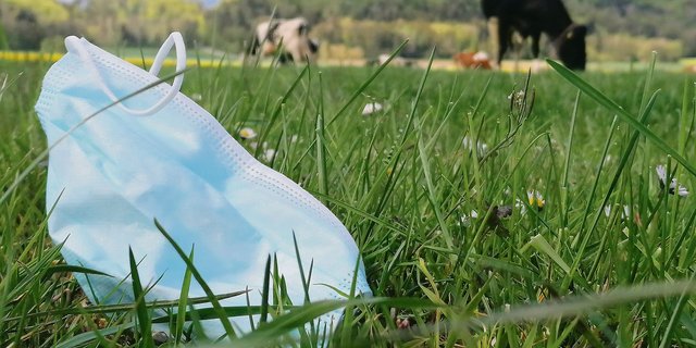 Solche Atemschutzmasken werden schnell weggeweht.(Bild Belinda Balmer)