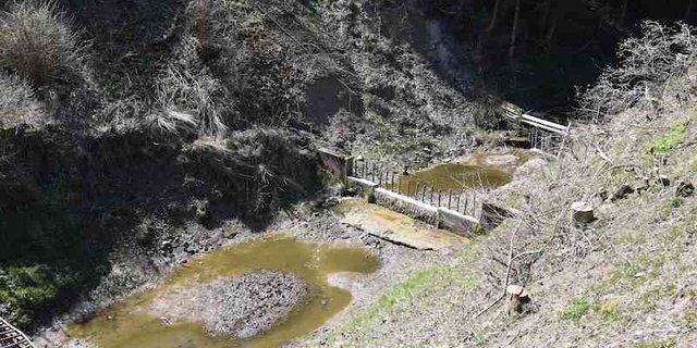 Die Feuerwehr konnte den Bach von der ausgetretenen Gülle reinigen. (Bild Kapo SG)