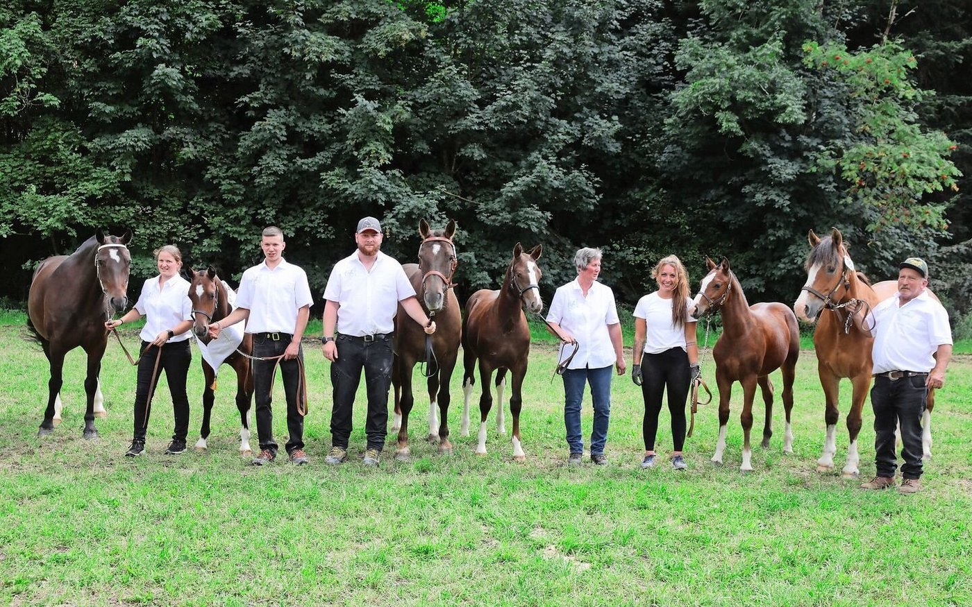 Die schönsten Stutfohlen der Fohlenschau Heimenschwand: Im ersten und zweiten Rang zwei Epson-MB-Fohlen von Martin Stegmann, Nairobi die Erstplatzierte (links) und Finja. Im 3. Rang (rechts) Havanna von der Lueg (Happyboy) von Werner Oesch.