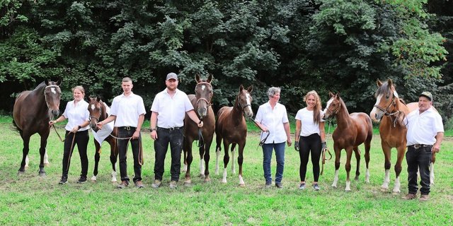 Die schönsten Stutfohlen der Fohlenschau Heimenschwand: Im ersten und zweiten Rang zwei Epson-MB-Fohlen von Martin Stegmann, Nairobi die Erstplatzierte (links) und Finja. Im 3. Rang (rechts) Havanna von der Lueg (Happyboy) von Werner Oesch.