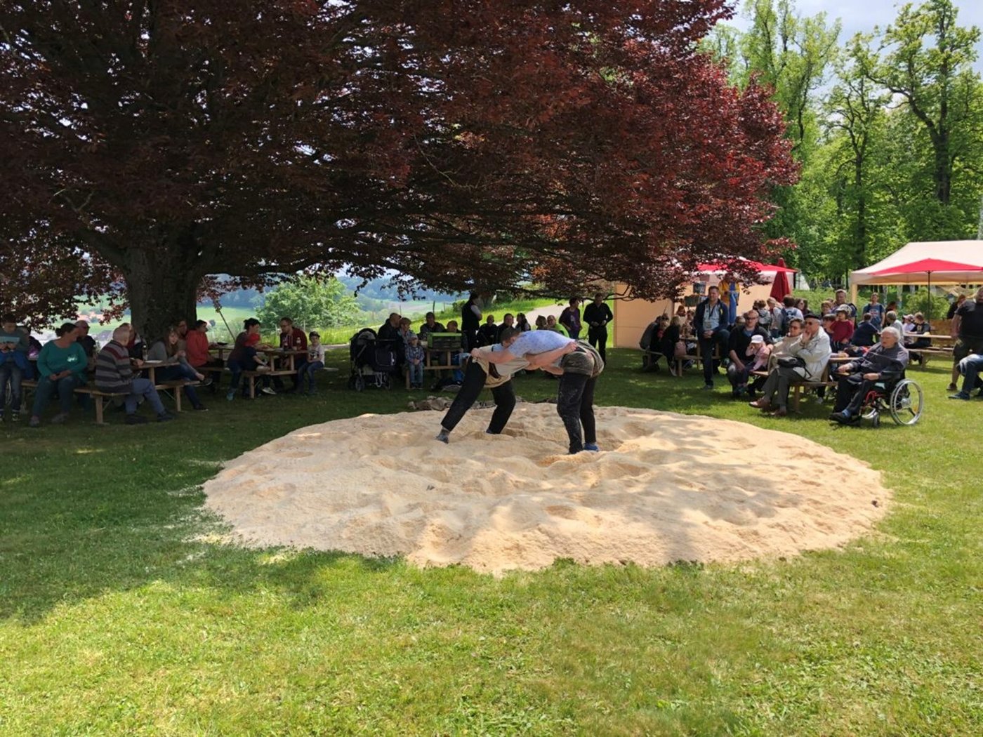 Nach fast zwei Jahren ohne Kranzfeste startet am 3. Juli die Schwingsaison 2021 mit dem Seeländischen Schwingfest in Täuffelen. (Symbolbild MSF)